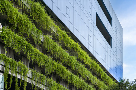 Sustainability